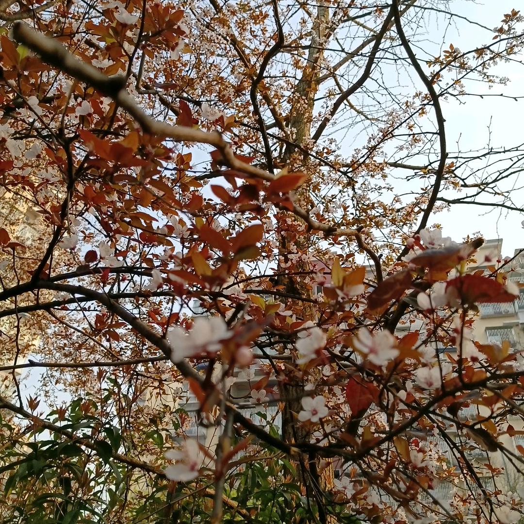 你别管