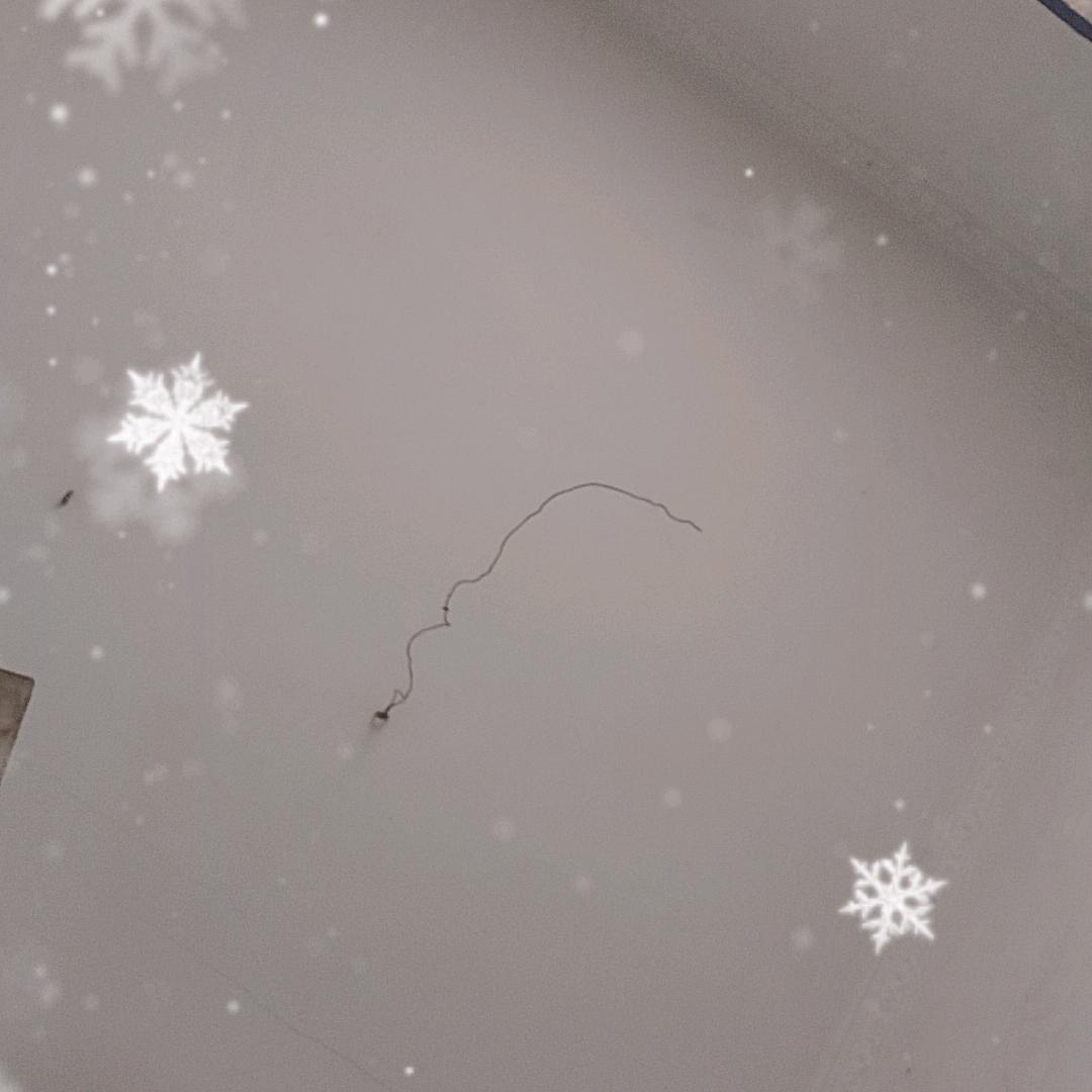 权御点唱👑新厅待冠