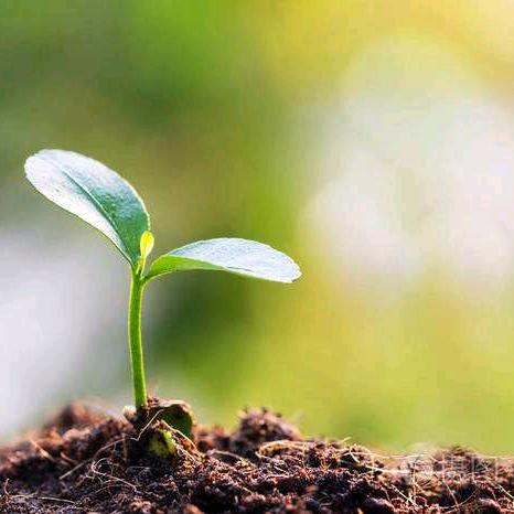 芹芹精选🌺🌺