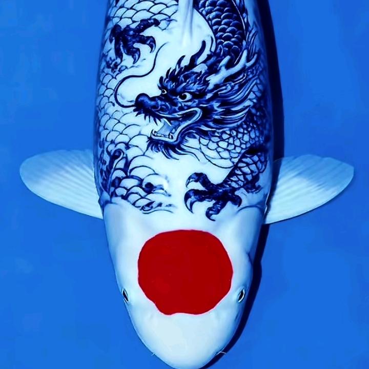 🌈🌈《明天更好》🌈🌈