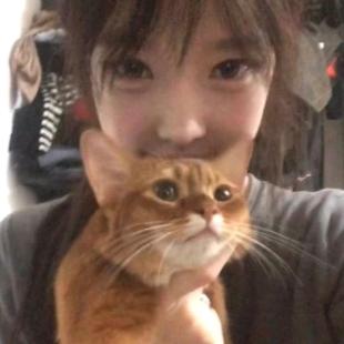 一拳就把世界锤成了蛋挞