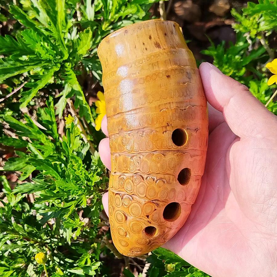 胡从德（代记谱）