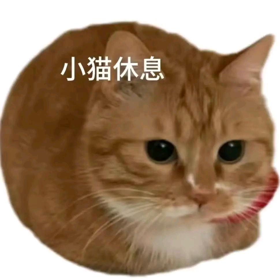 回家吧 孩子 回家吧