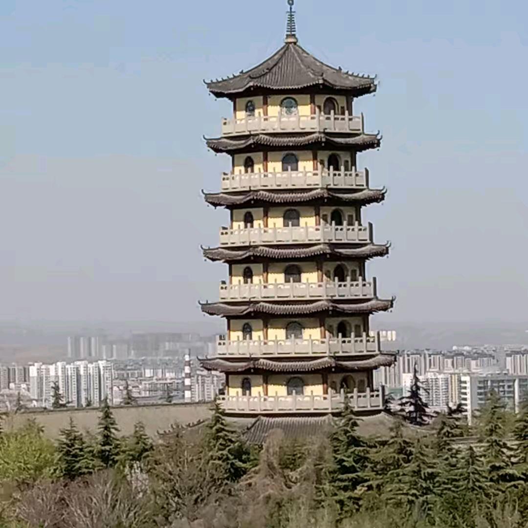 十五坫