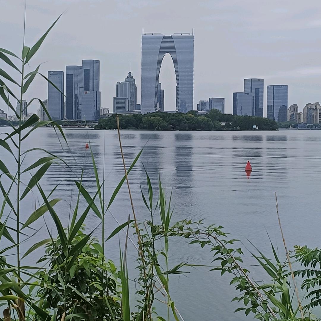 阿政哥