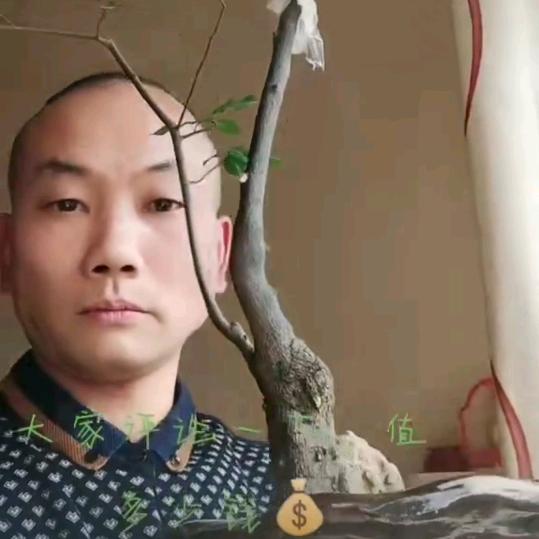 华哥《红颜一场梦》