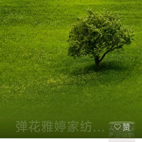 悠悠奶奶