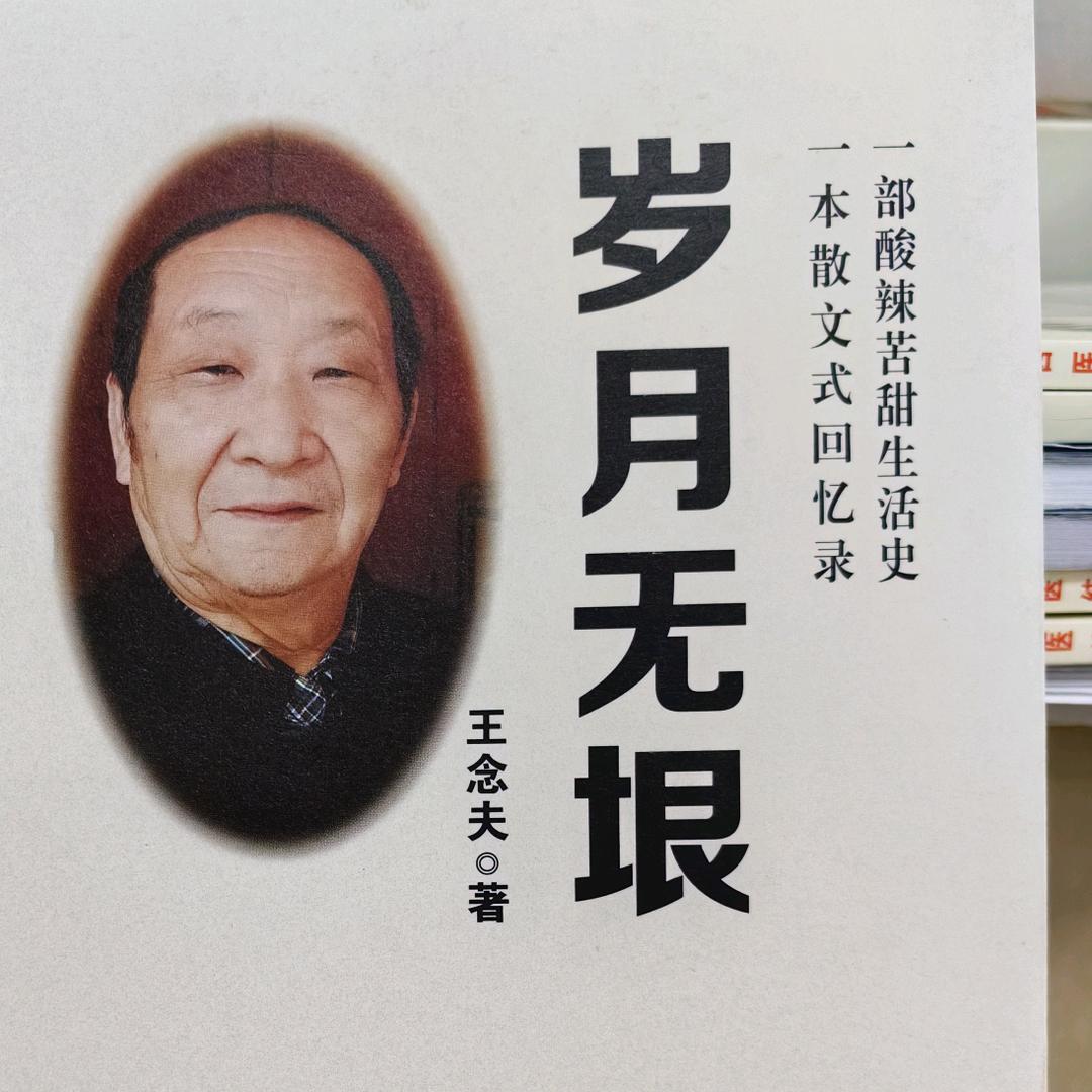 作家王念夫谈小说