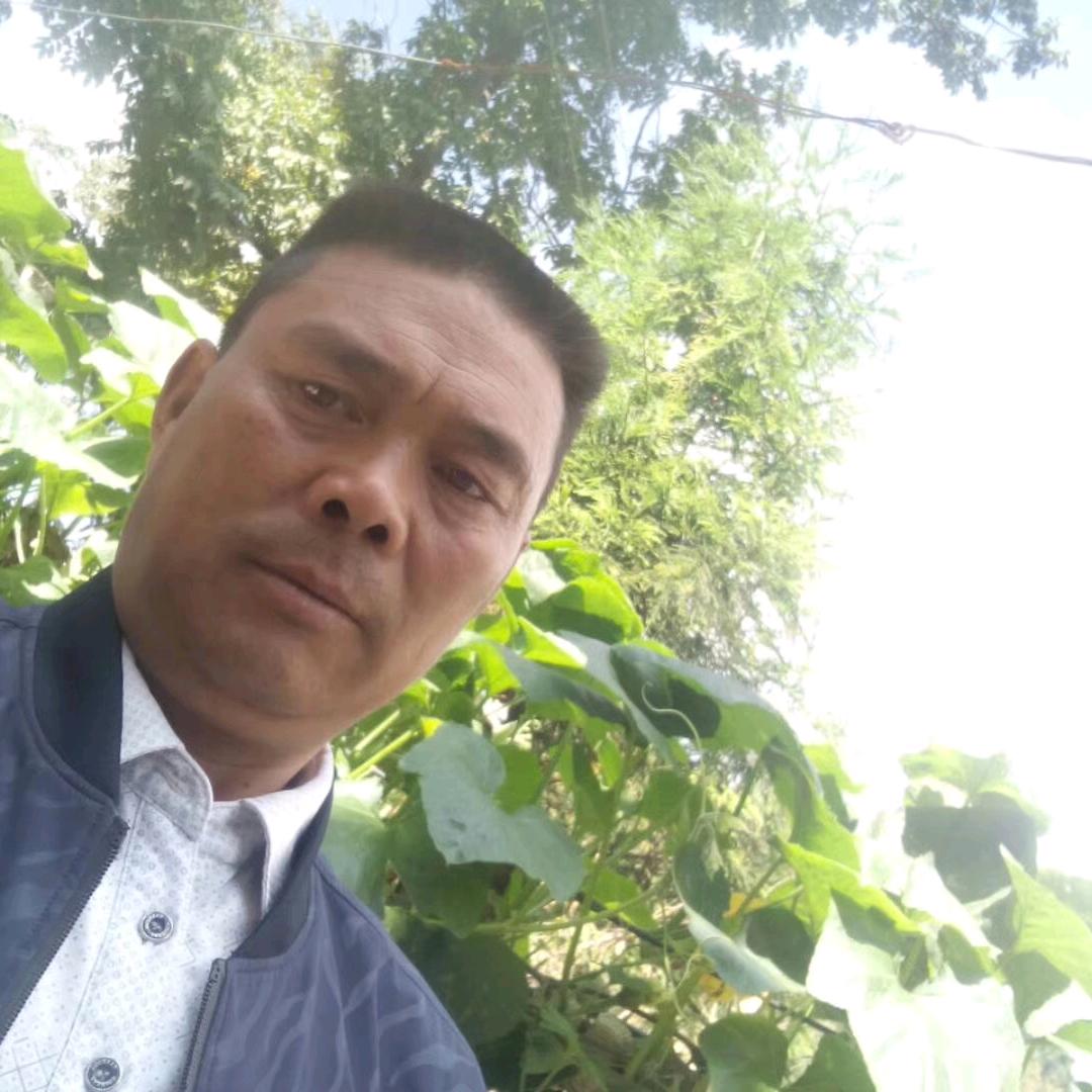 真心实意陶