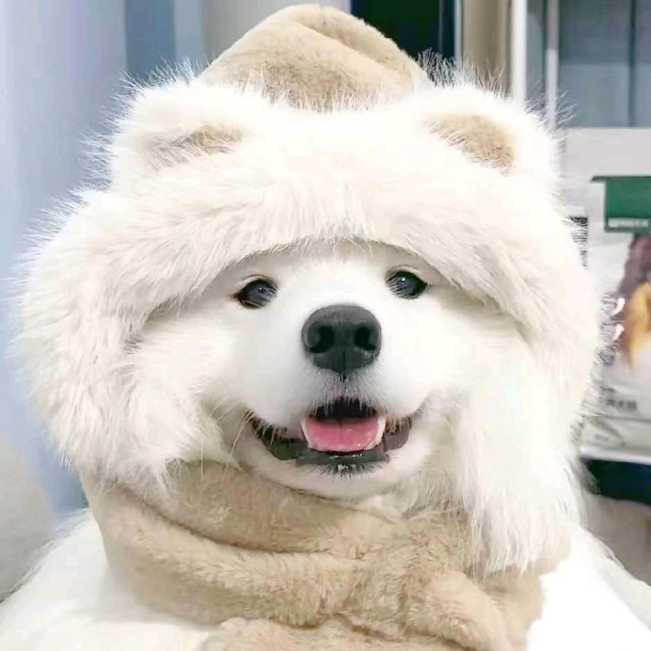 灬蓝桉ᥫᩣ