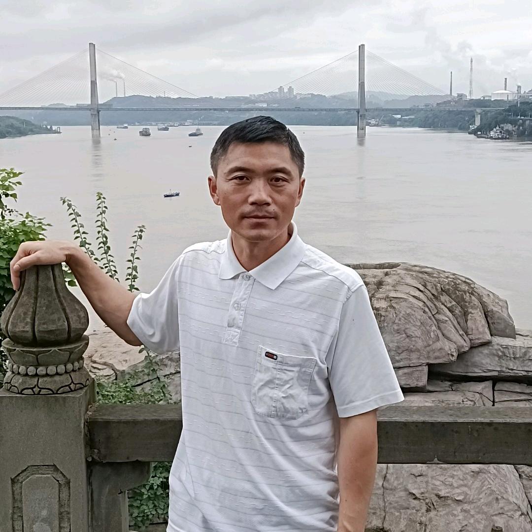 黯伤里的沉默者薇薇爸爸浪迹天涯