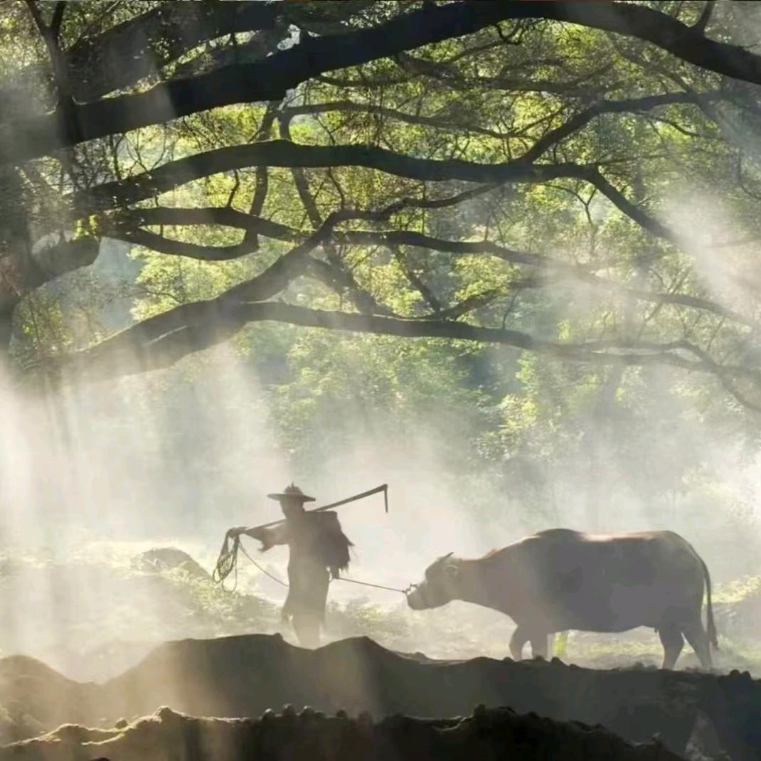 胖子（专业打地基）