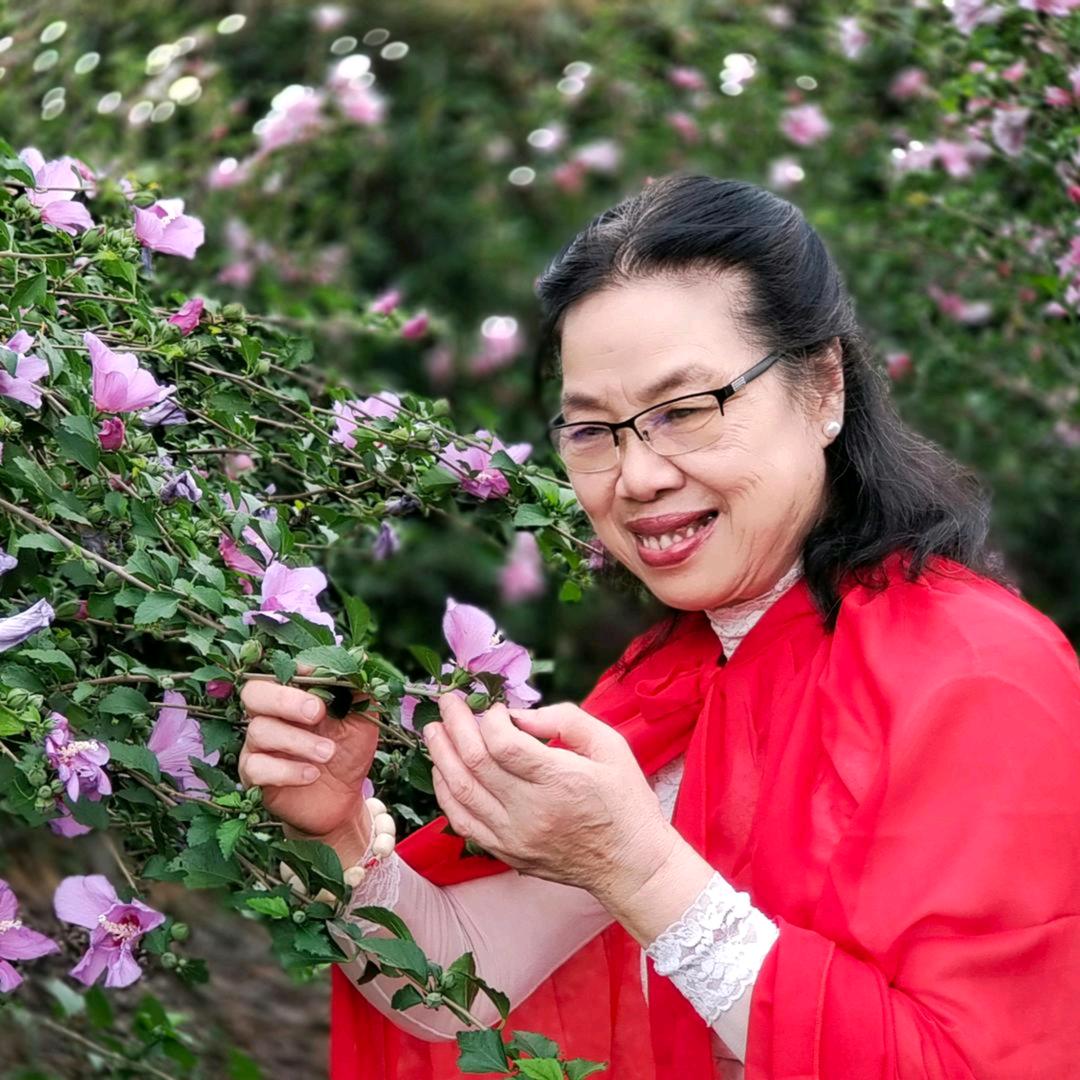 虎姐好物    (商品橱窗)