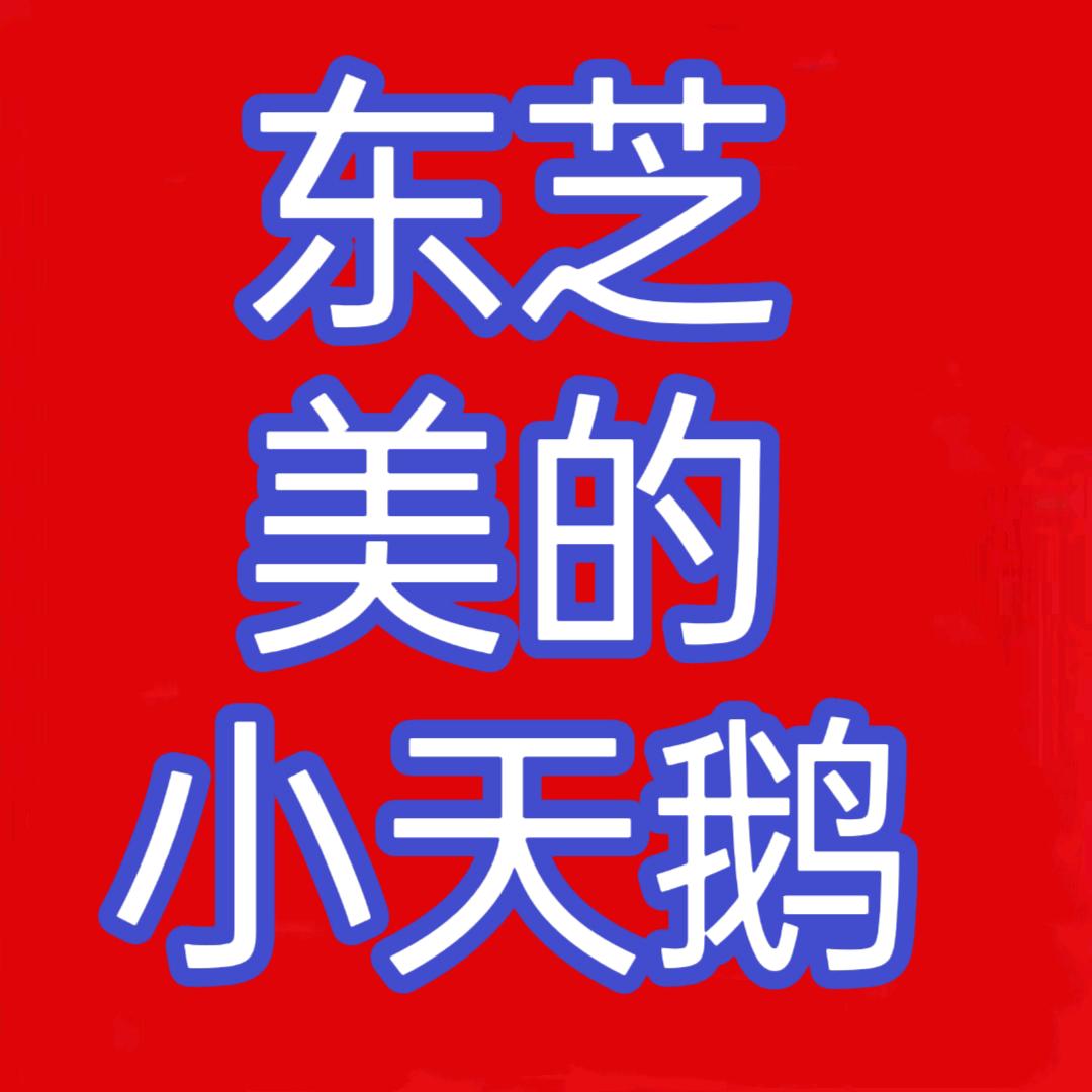 定州东芝星级生活馆600平米家电工厂店