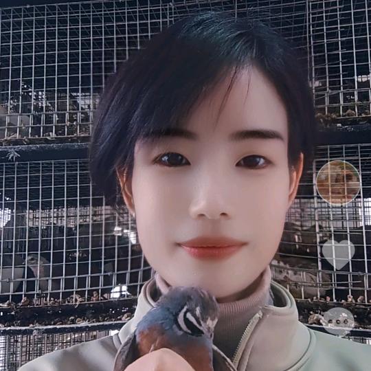 徐州二艳芦丁鸡