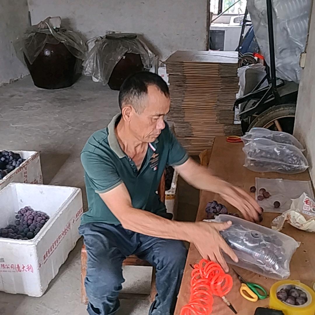 葡萄鲜果铺子