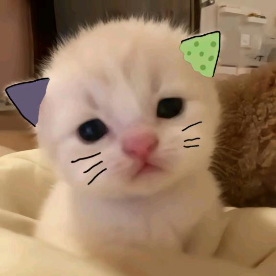 左耳^