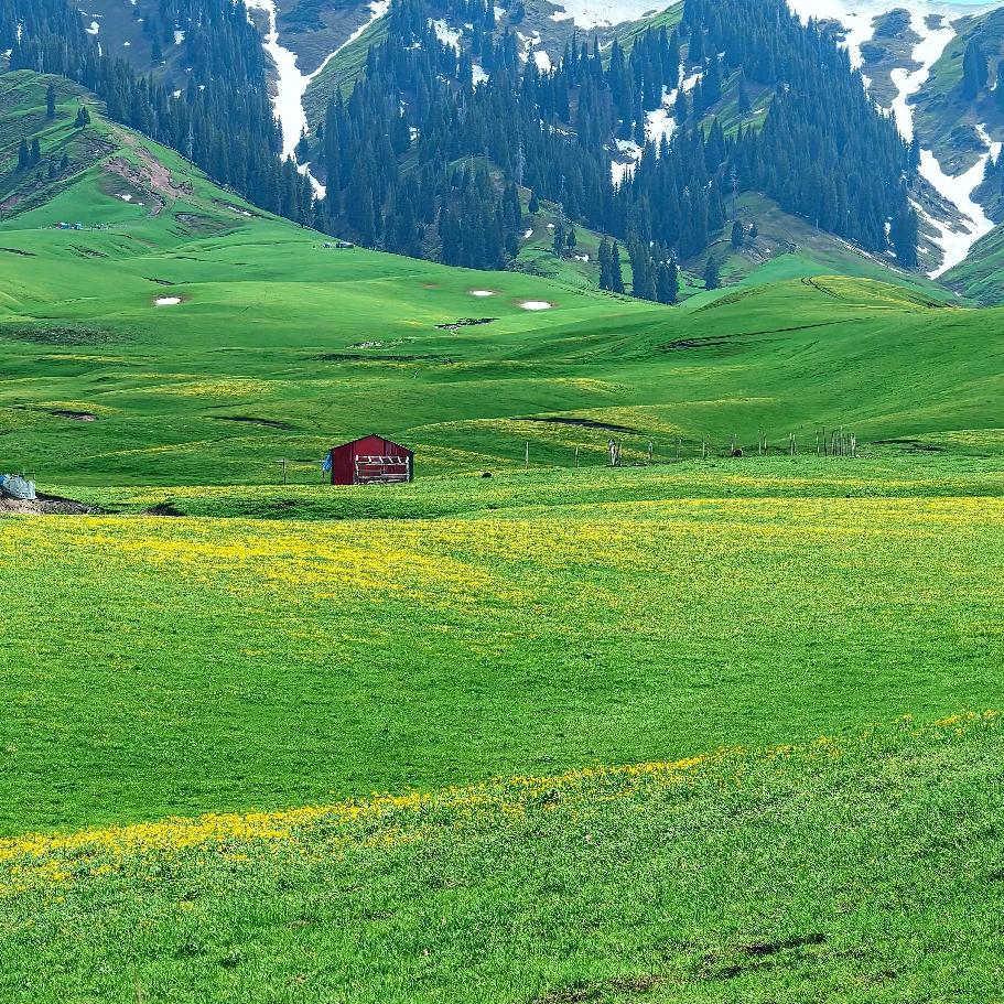 云锟未来机器人海龙