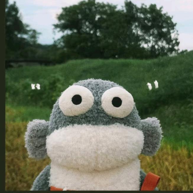 🌈叙利亚在逃拖鞋（蛋仔版）