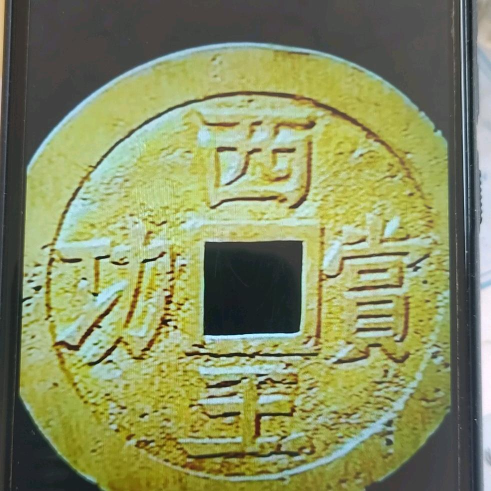 7777蚂蚁，易佳传媒