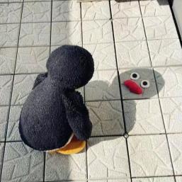 笑 笑