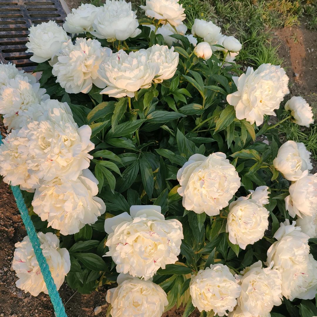 我就是我