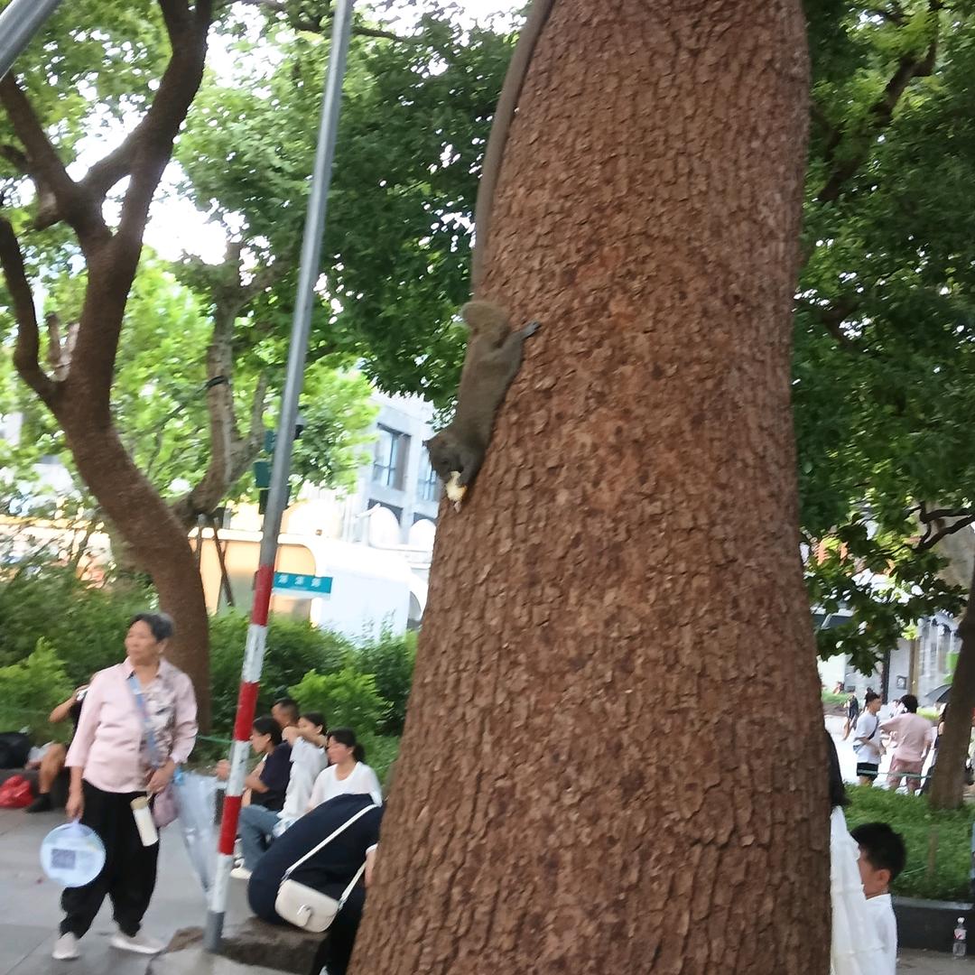 怡念