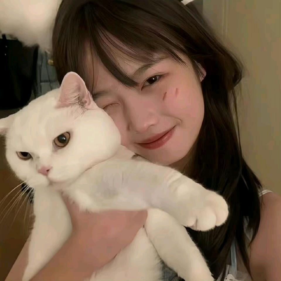 绕路走别惹乱子