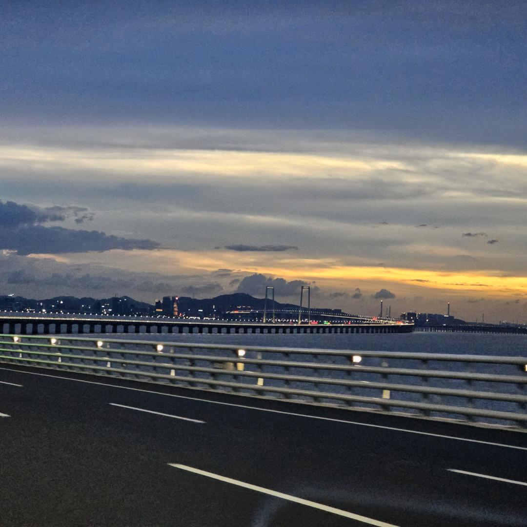 @馋猫不馋🐝🐝