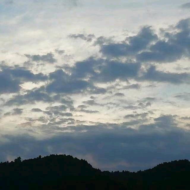 曾晓林