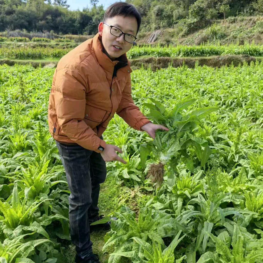 红星天天甄选葛记批发