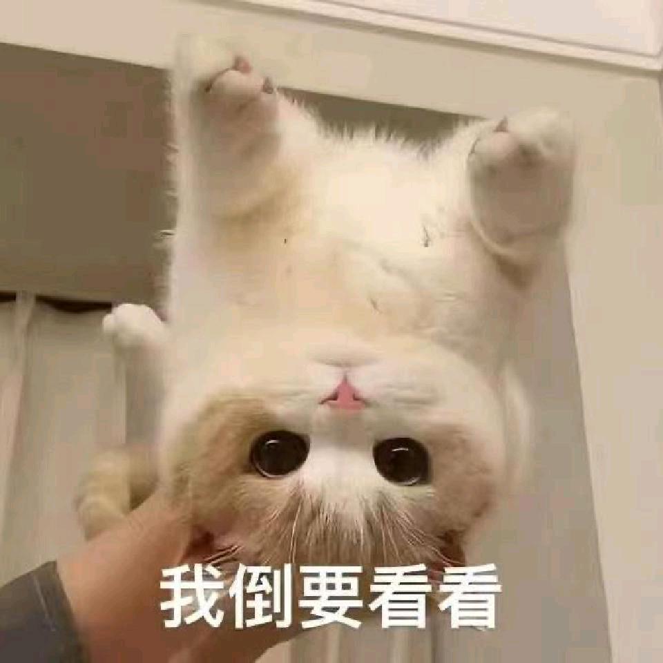 加油站