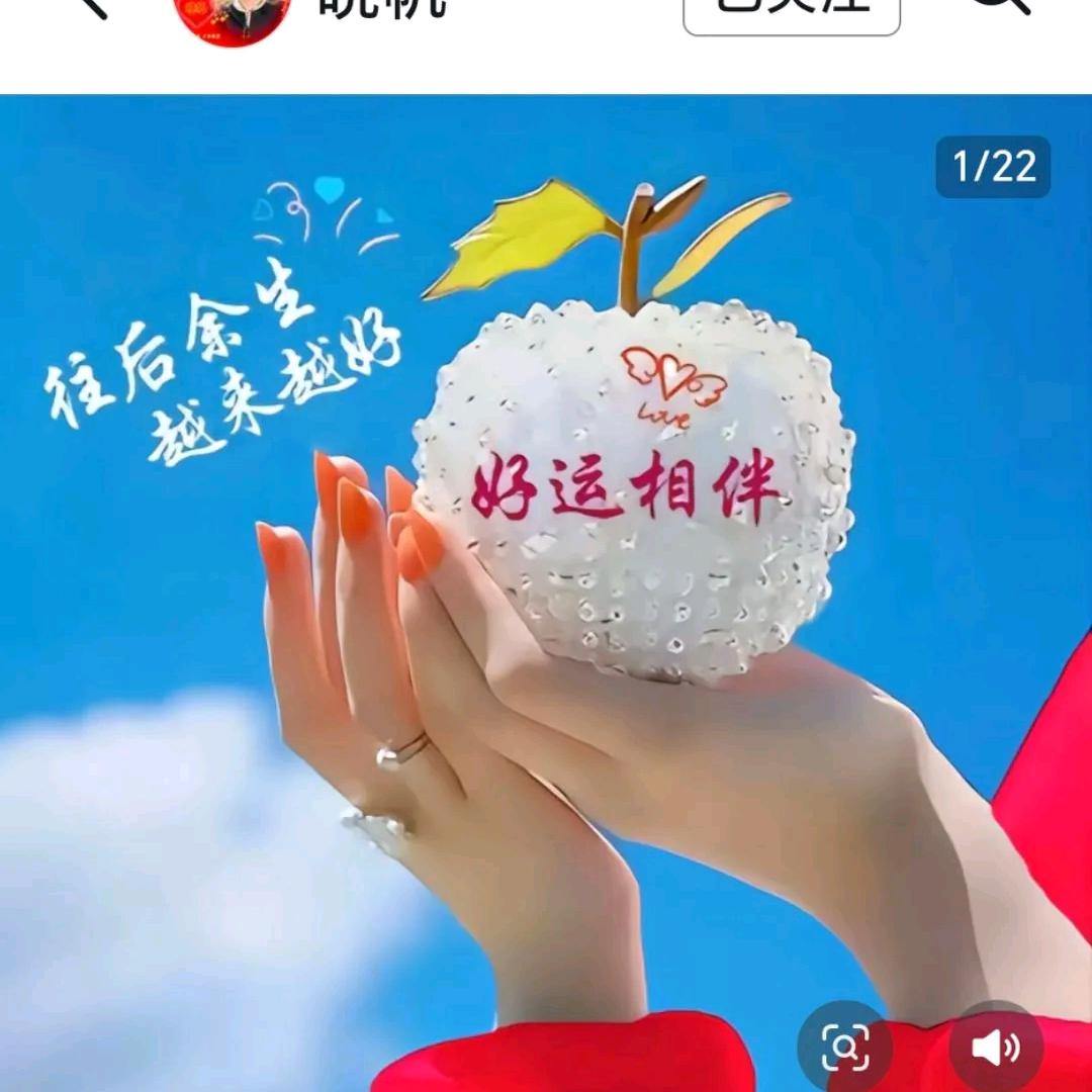 受伤的兔