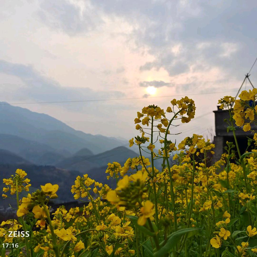 我就是我。你不需了解