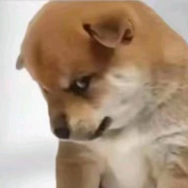 一寸光