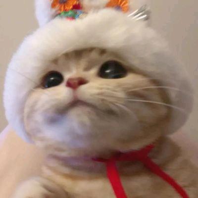 浅筱