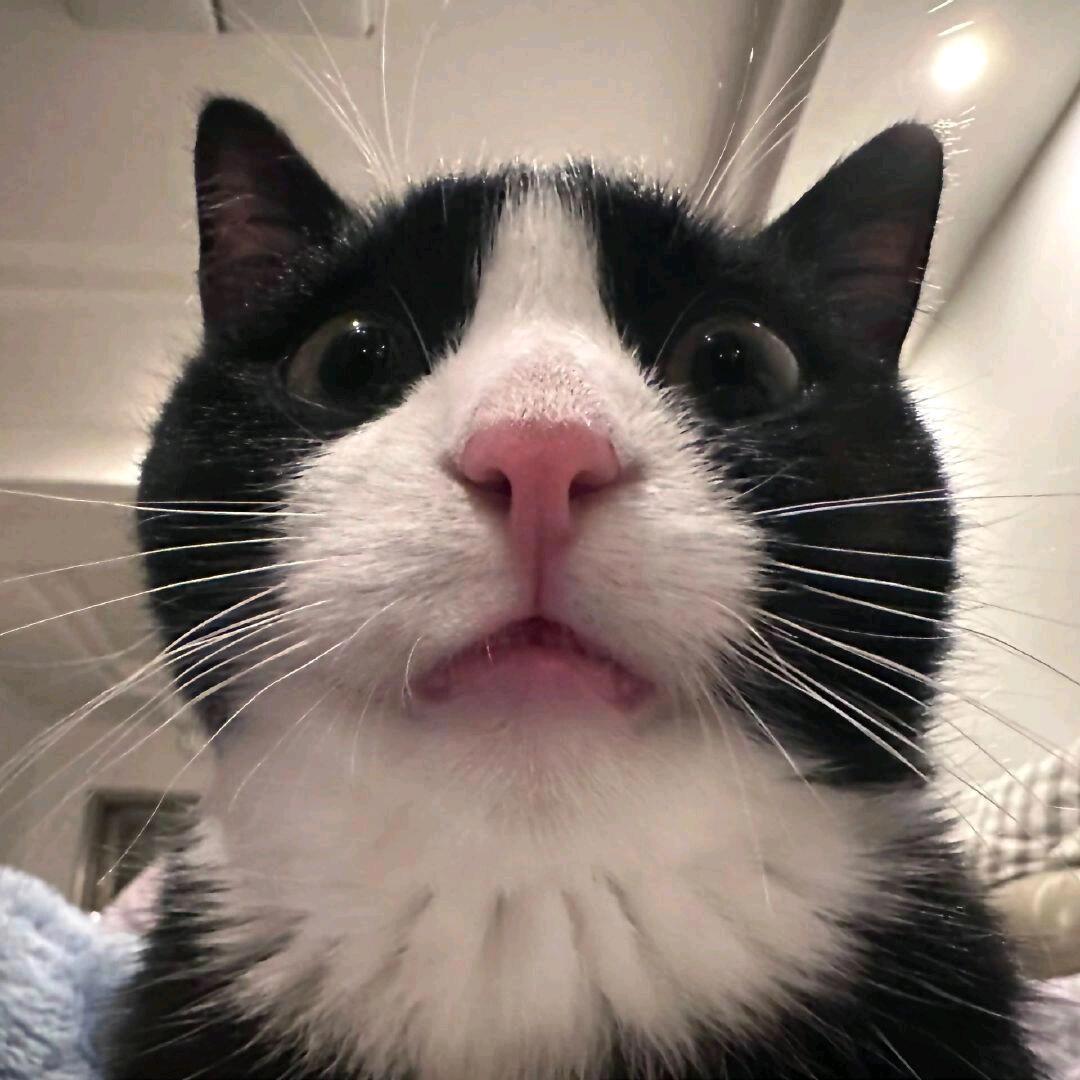 ε(*･ω･)_/ﾟ:･☆