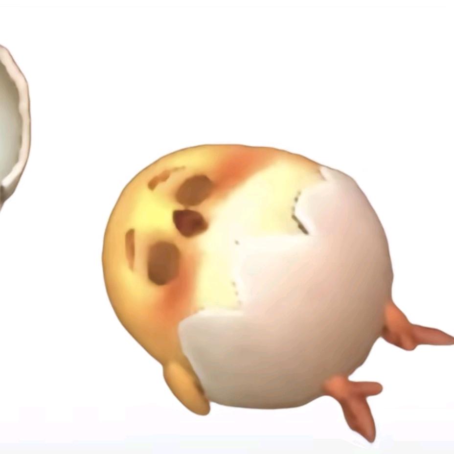 ⊹꙳ ˶˙ᵕ˙˶ ⊹꙳