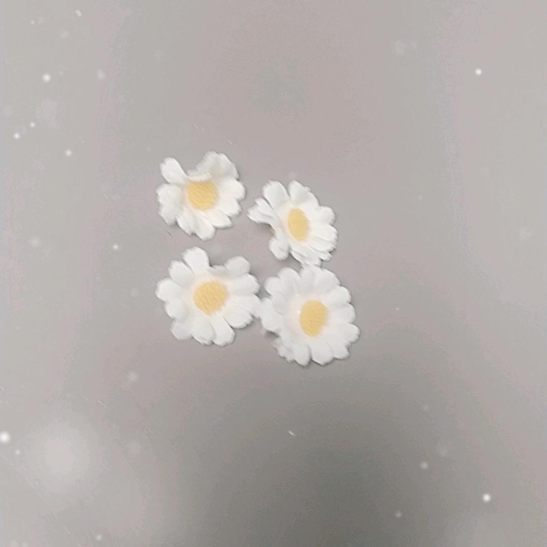 巨酷凡之美园艺专卖店花姐种植