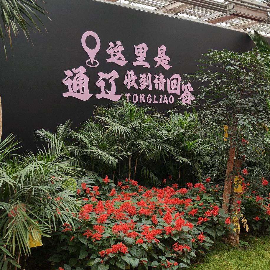 和佑农业嘉年华