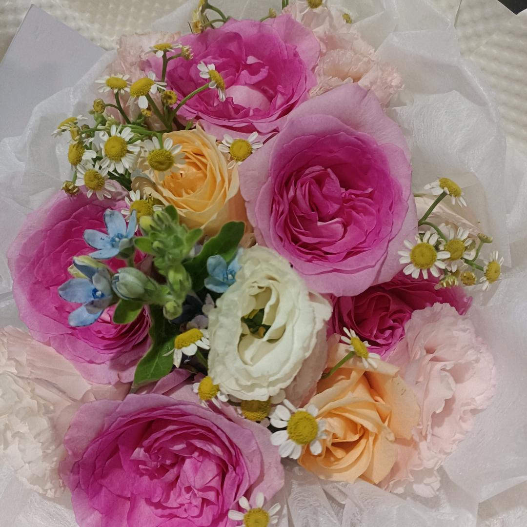 吹吹人间发财风