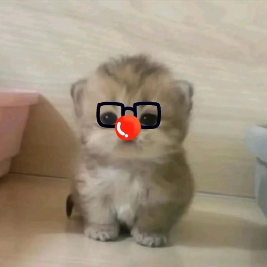 少管我