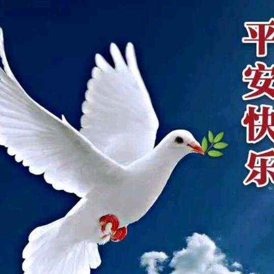 光明之子