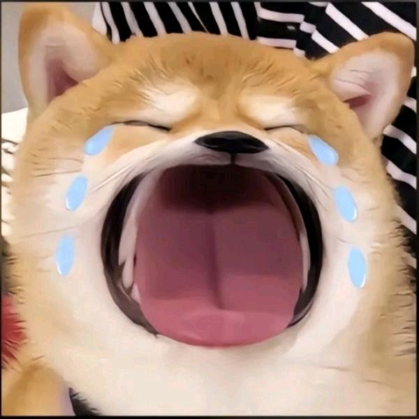 心动写黄昏
