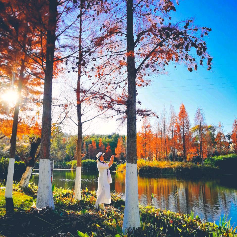 🌾名佳