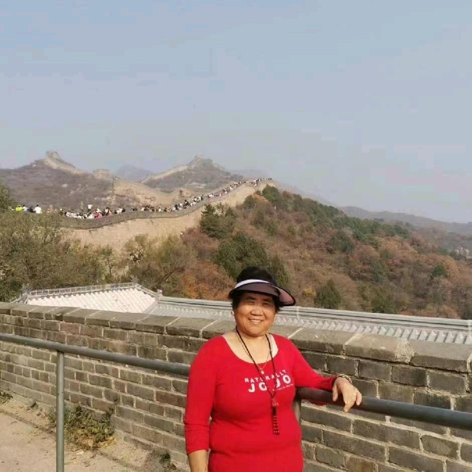 一枝金莲遍地开花