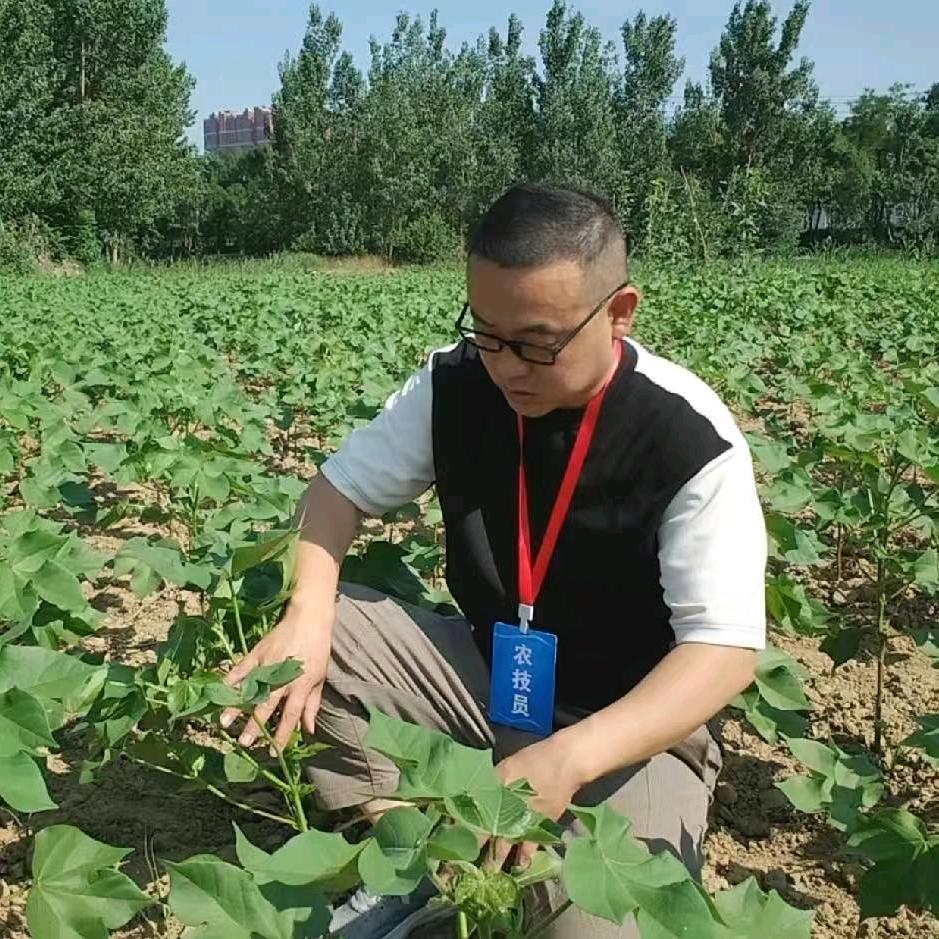 奇伟说农业