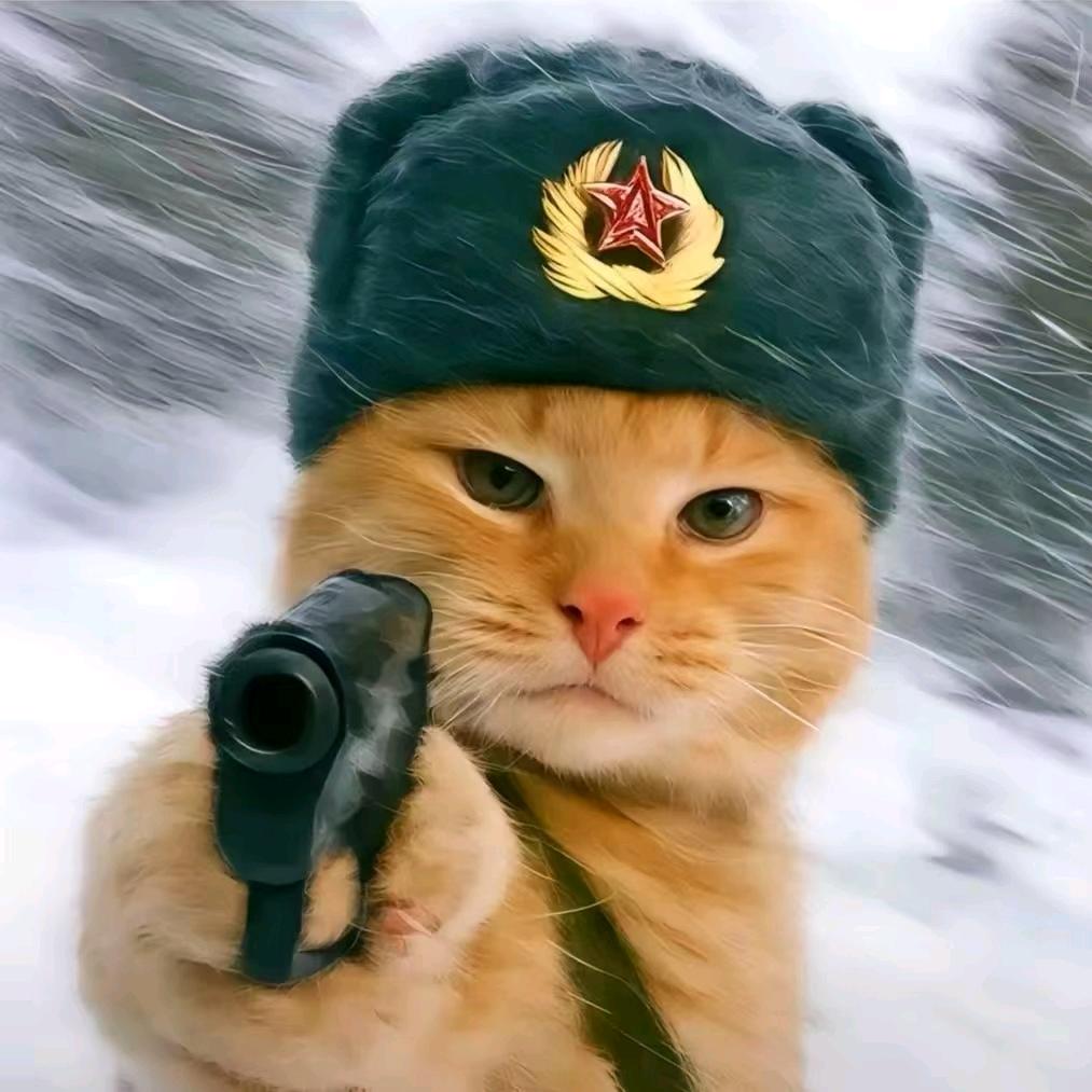 还有一斯理智🇨🇳