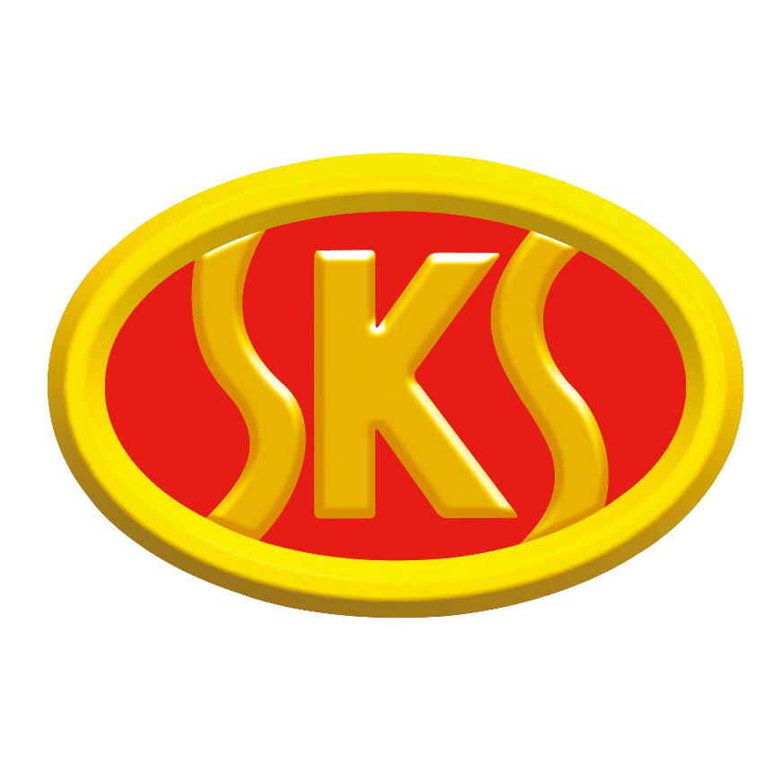 赛克思液压泵