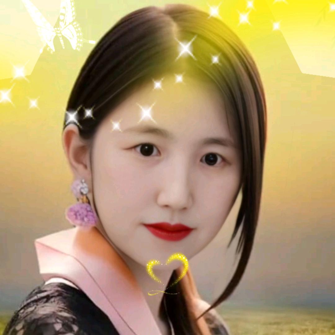 九月菊花
